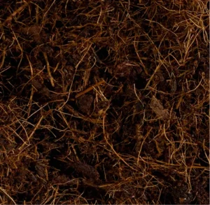 Fibra de coco Cocofibre, filamentos finos marrones de cáscara de coco