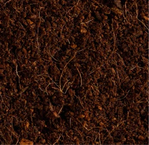 Cocopeat, turba de coco marrón con raicillas, sustrato orgánico renovable