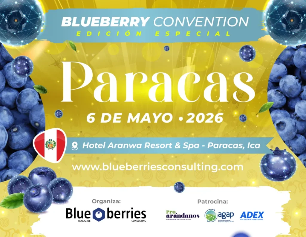 Blueberry Convention 2026