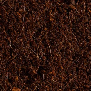 cocopeat T100