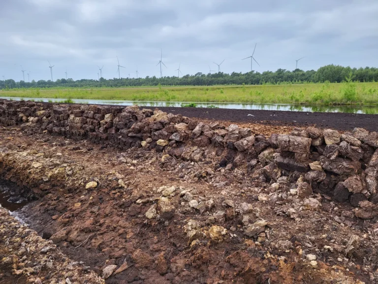 Bloques de turba extraídos en una turbera con aerogeneradores al fondo